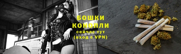 крисы Липки