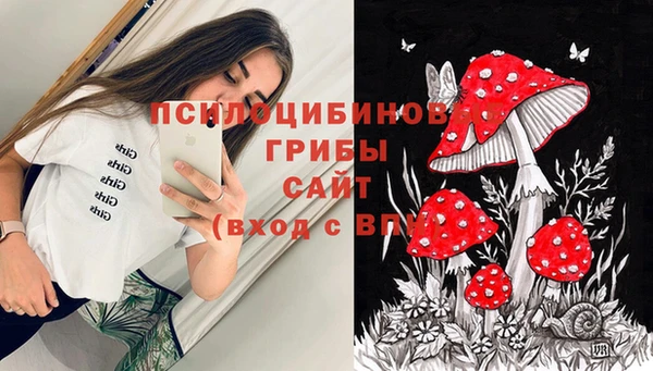 Альфа ПВП Лихославль