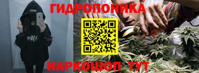 Альфа ПВП Бийск