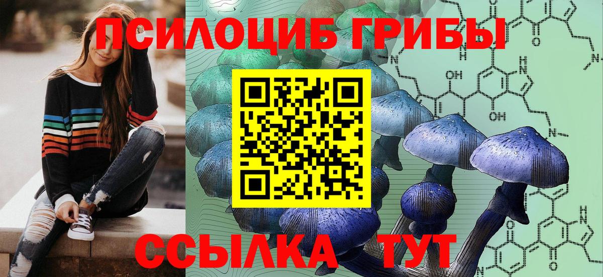 Псилоцибиновые грибы GOLDEN TEACHER  Кондопога  Псилоцибиновые грибы Cubensis 