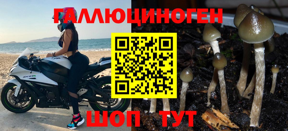 Метамфетамин  Гарик  КОКАИН  Кондопога  МДМА  Вход с VPN  Конопля  Мяу-Мяу  А ПВП 