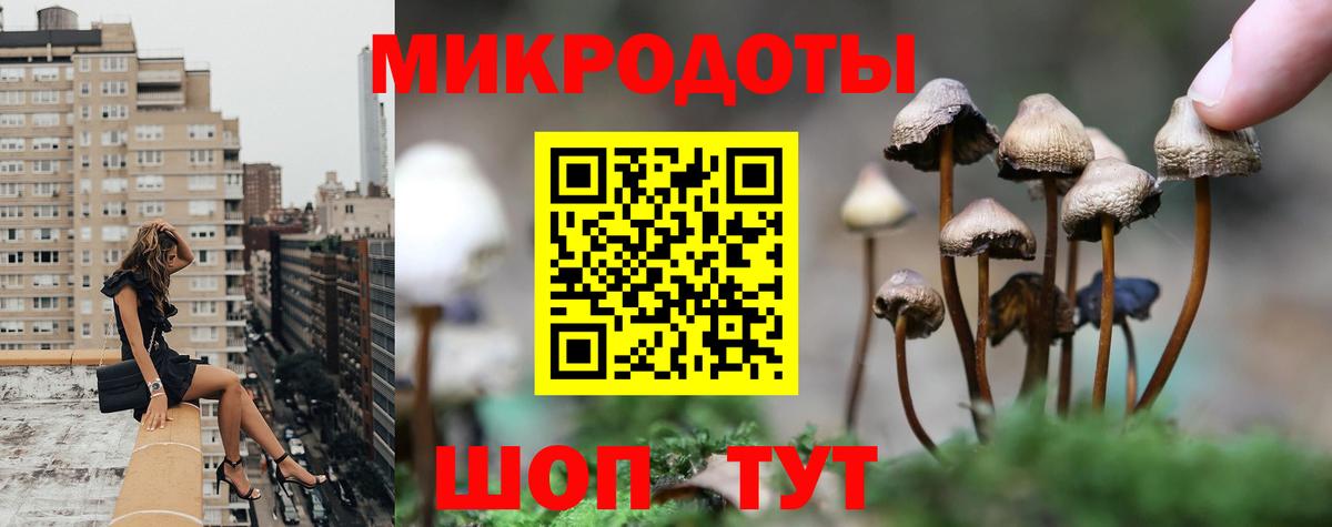 Псилоцибиновые грибы Psilocybine cubensis Кондопога