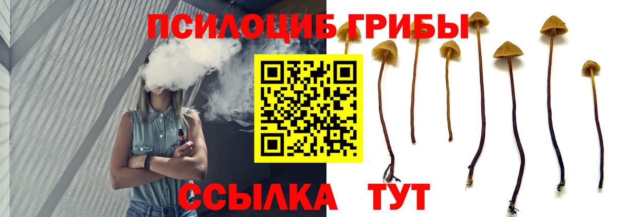 Кондопога  Галлюциногенные грибы MAGIC MUSHROOMS  Вход с VPN 